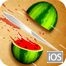 Fruit Ninja Yüklə