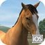 My Horse Yüklə