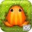 Pocket Frogs Yüklə