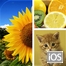 Photo Collage Pro Editor – Şəkil Birləşdirmək Yüklə