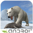Arctic Polar Bear Yüklə