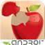 Food puzzle Yüklə