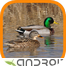 Real Duck Simulator Yüklə