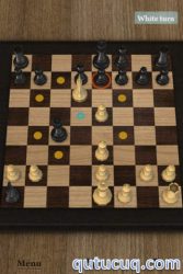 Chess App ekran görüntüsü