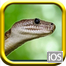Snake Rampage Yüklə