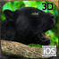 Wild Black Panther Attack Simulator 3D Yüklə