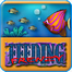 Feeding Frenzy 2 Yüklə