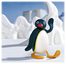 Pingus Yüklə