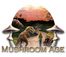 Mushroom Age Yüklə