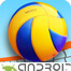 Beach Volleyball 3D Yüklə