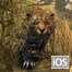 Animal Hunting: African Jungle Yüklə