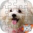 Puppy Play Jigsaw Puzzle Yüklə