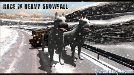 Winter Snow Dog Sledding Ski Simulator 3D ekran görüntüsü